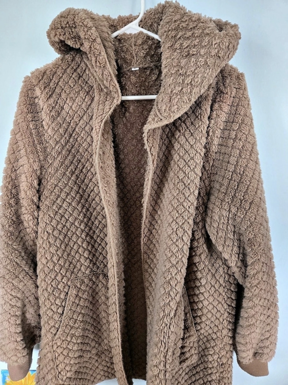 Women's Brown Teddy Hooded Jacket Size Large